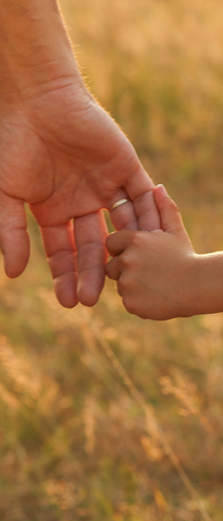 Close-up of a parent holding a child’s hand